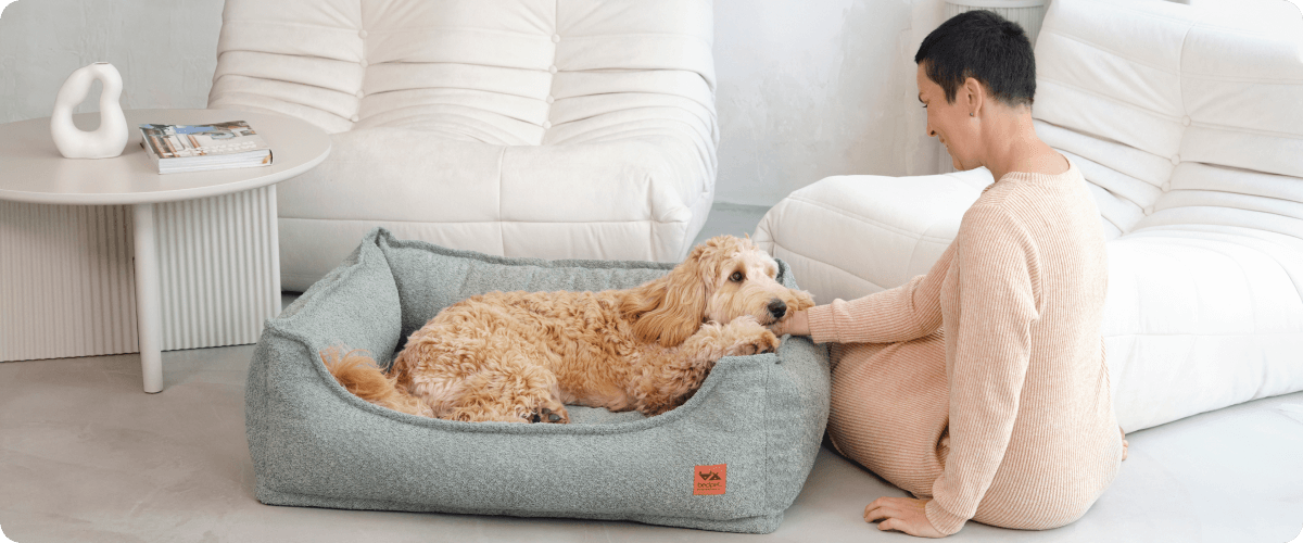 OrtoPelíšky o nás